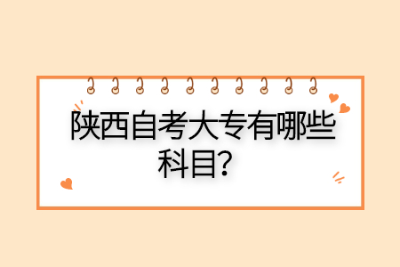 陜西自學考試有哪些專業(yè)