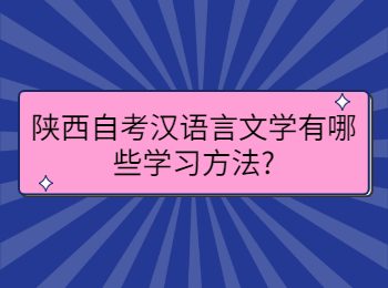 陜西自考漢語言文學