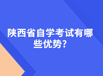 陜西省自學考試 陜西省自學考試網
